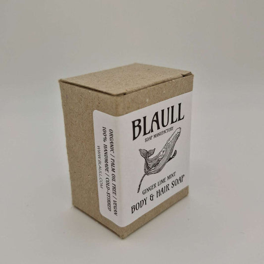 Ingwer Limette Minze